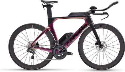 Cervelo P Triathlon Bike Shimano Ultegra Di2 12S 700 mm Purple 2024