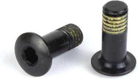 Derailleur cage fixing screw CAMPAGNOLO RD-SR130