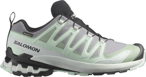Chaussures Trail Salomon XA Pro 3D V9 GTX Vert/Gris Femme
