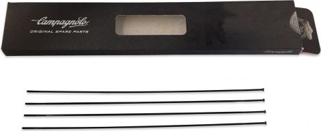 Lot de 4 rayons arrière droit Campagnolo zonda