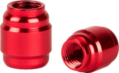 Kit de 30 Olives Elvedes AV02-1 pour Durite Sram/Avid Rouge
