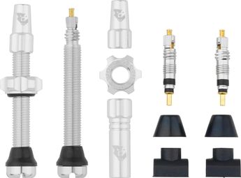 Wolf Tooth Presta Tubeless Valve Kit - Silver
