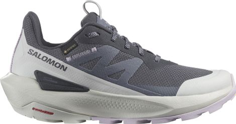 Chaussures de Randonnée Femme Salomon Elixir Activ GTX Bleu Gris