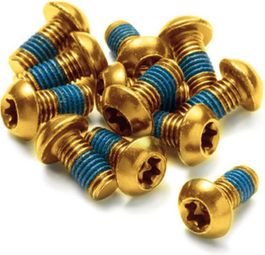 Perno de rotor de disco inverso Acero M5 x 10 mm Dorado