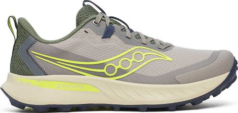 Chaussures Trail Saucony Peregrine 15 Gris/Beige Homme