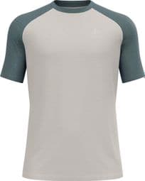 Technisch T-shirt Odlo Ascent Performance Wool 125 Grijs
