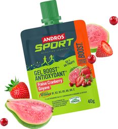 Gel antioxydant Andros Sport Boost Fraise/Cranberrie/Goyave - 40g