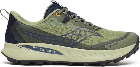 Chaussures Trail Saucony Peregrine 15 GTX Kaki/Bleu Homme