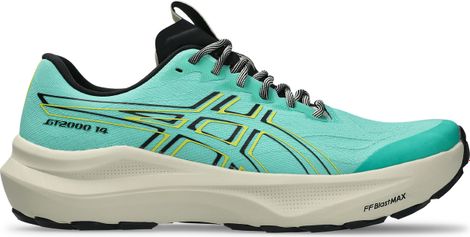 Asics GT-2000 14 Nature Bathing Green Men's Running Shoes