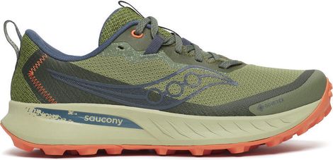 Chaussures Trail Saucony Peregrine 15 GTX Vert/Beige Femme