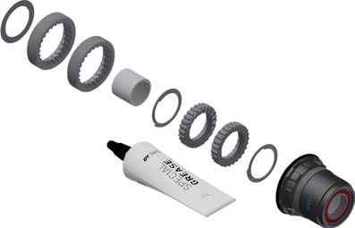 DT Swiss Ratchet LN Service Kit for DT Swiss MTB Hybrid Hubs | Sram XD