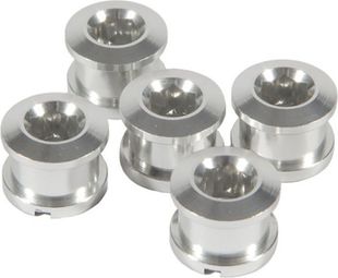 Set van 5 Voorste Alu Schoorsteen Schroeven 6,5mm Zilver