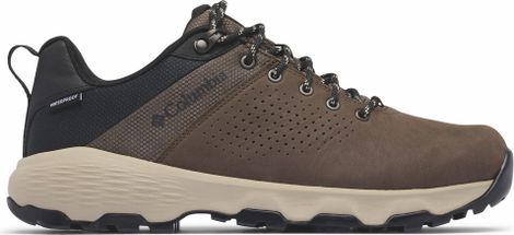 Columbia Newton Nimble LTR Brown Hiking Shoes