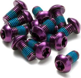 Bullone del rotore del disco inverso in acciaio M5 x 10 mm viola