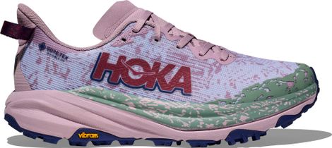 Hoka Speedgoat 6 GTX Trailschoenen Blauw/Roze/Groen Dames