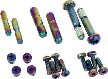 Sram G2 ULT / RSC Oil Slick Brake Lever Bolt Kit