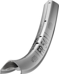 Llanta DT Swiss FR 541 de 29 pulgadas, color plata