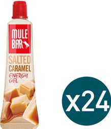 Set of 24 Mulebar Energy Gel Salted Caramel 24x37g