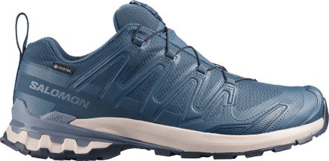 Salomon XA Pro 3D v9 GTX Trail Running Shoes, Blue, Men's