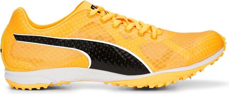 Puma Track & Field Schoenen evoSpeed XC Haraka 7 Oranje / Zwart