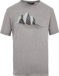 Salewa Lines Graphic Dry T-Shirt Grau