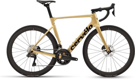 Vélo de Route Cervélo Soloist Shimano Ultegra Di2 12V 700 mm Or Gold Dust 2024