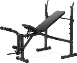 Banc de musculation capacité de charge jusqu'à 100 kg réglable inclinaison 180 - 152° banc musculation banc d'entraînement banc de sport