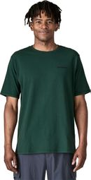 Patagonia P-6 Logo Responsibili-Tee Groen Heren-T-shirt