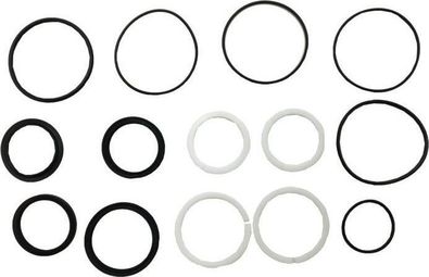 WSS - DVO  topez air can seal kit  1 set