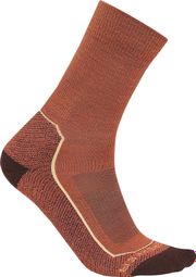 Chaussettes Femme Icebreaker Merino Hike+ Marron