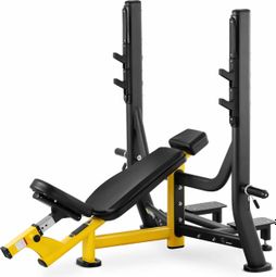 Banc incliné - 135 kg - 300 x 230 mm fitness sport musculation