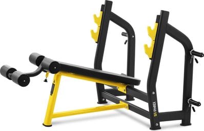 Banc décliné - 135 kg - 1 080 x 270 mm sport fitness