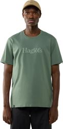 Haglöfs Outsiders T-shirt, groen, heren