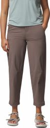 Pantalon Columbia Shale Ridge Gris Femme - Regular