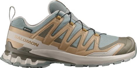 Trail-Schuhe Salomon XA Pro 3D v9 GTX Blau/Khaki Herren