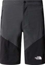 The North Face Felik Slim Tapered Shorts Gris