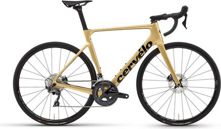 Vélo de Route Cervélo Soloist Shimano Ultegra 11V 700 mm Or Gold Dust 2024