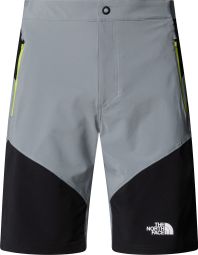 The North Face Felik Slim Shorts Light Grey/Black Men's