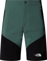 The North Face Felik Slim Shorts Grün Herren