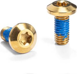 Paar Titanium bidonhouderschroeven M5 x 12 mm absoluutBLACK Goud