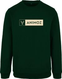 Animoz Daily Pullover Grün