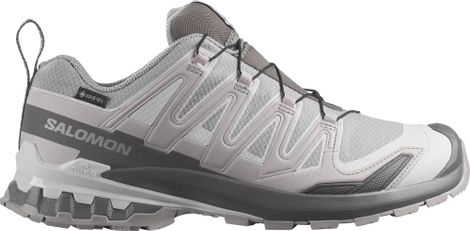Scarpe da trail Salomon XA Pro 3D V9 GTX grigie da uomo