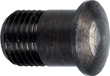 Magnetische Speichennippel Campagnolo Shamal / Eurus