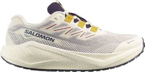 Salomon Aero Blaze 3 GRVL GTX Beige/Blauw Hardloopschoenen voor Heren