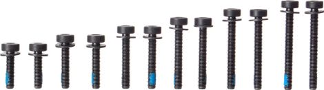 MAGURA Set of FLATMOUNT Screws for Rear Wheel 