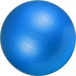 Swiss ball - Ballon de gym - Tailles : 55 cm  65 cm  75 cm - Couleur : BLEU - Diamètre : 75 CM