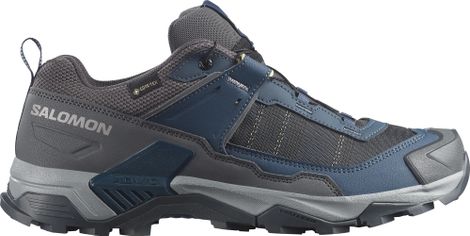 Salomon X Ultra 5 GTX Men's Hiking Shoes, Blue/Gray