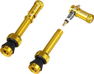Par de Válvulas Tubeless Granite Design Juicy Nipple de 45 mm con Tapón Extractor de Ómnibus Dorado