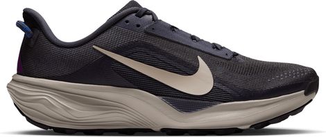 Scarpe da trail Nike ACG Pegasus Trail blu da uomo