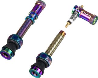 Pair of Granite Design Juicy Nipple 45 mm Tubeless Valves with Oil Slick Bus Remover Plugs